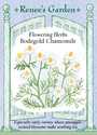 Bodegold Chamomile Flowering Herb Seeds